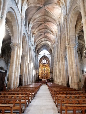Katedrála v Ourense z 12. století, která dominuje celému městu. Je plně zpřístupněna turistům s průvodcem v mnoha jazycích.